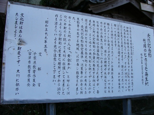 ヒカリモ 2